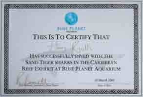 Copy of certificate issued to everyone taking place in dive.
