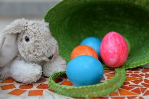 ed3cb0092ef31c3e81584d04ee44408be273e7d419b9154393f9_640_easter-bunny