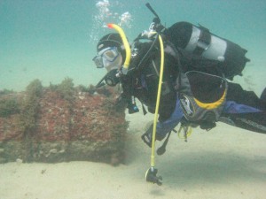 Diver with treasure chest -Pity we couldn't get it open and it was too heavy to lift, so it's still there folks. But I just can't quite remember where this was!