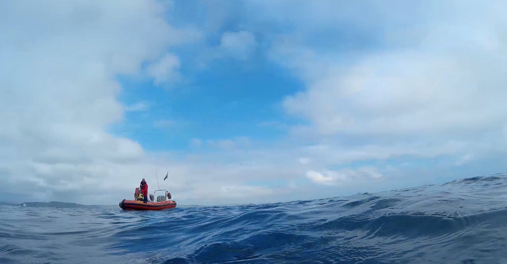 Plymouth Diving - The RIB