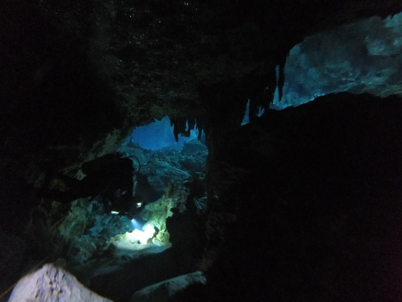 Emerging from the cave into open cenote.