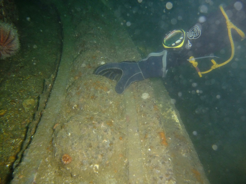 Ball bearings on the slew ring of one of the inverted turrets of the SS Bayern, Scapa Flow