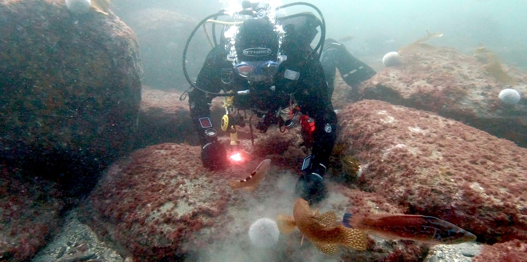 Above 18m: Diving Chesil Bank